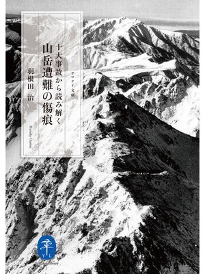 cover image of ヤマケイ文庫 十大事故から読み解く 山岳遭難の傷痕